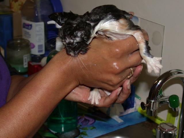 First Bath