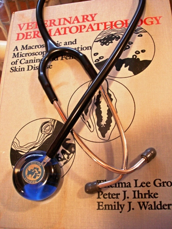 stethoscope